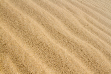 Fototapeta na wymiar Sahara sand background. Close up. Amazing wave pattern send dune near El Oued, Algeria, North Africa, Sahara