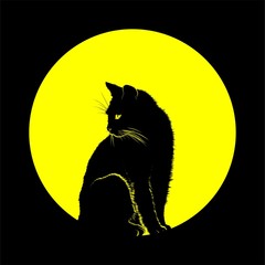 CAT MOON