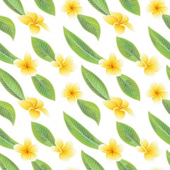 Exotic tropical flowers hibiscus frangipani and green leaves seamless pattern
