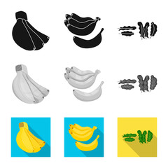 Vector illustration of natural and vegetarian sign. Set of natural and eating vector icon for stock.