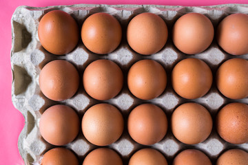 many chicken eggs in paper form on pink background