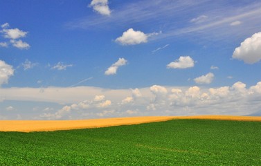 Obraz premium Summer Field in Biei, Hokkaido, Japan