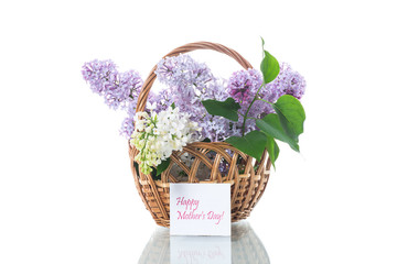 spring blooming bouquet of lilac isolated on white
