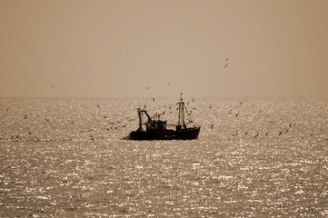 A single fishing boat contre jour