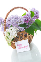 spring blooming bouquet of lilac isolated on white