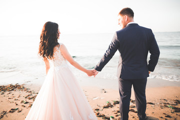 Wedding couple kissing and hugging on rocks near blue sea