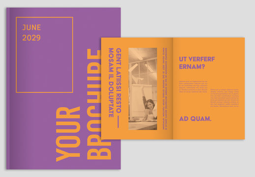 Colorful Pop Brochure Layout