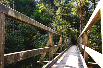 Fototapeta na wymiar Brücke in den Wald