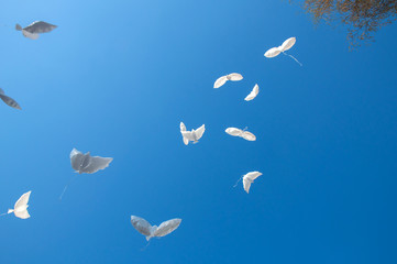 Balloons in the form of pigeons in the sky