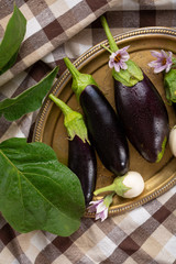 Fresh black and white eggplants