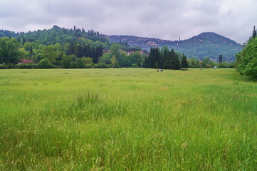 Meadows in the surroundings of Ponte a Mensola, Florence, Tuscany, Italy