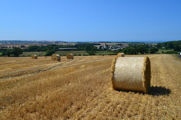 Fototapeta premium Champs de balles de Pailles à Meuvaines (Calvados - Normandie - France)