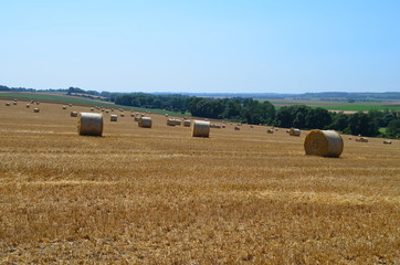 Champs de balles de Pailles à Meuvaines (Calvados - Normandie - France)