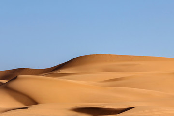 Fototapeta na wymiar golden sand dune in sahara desert 