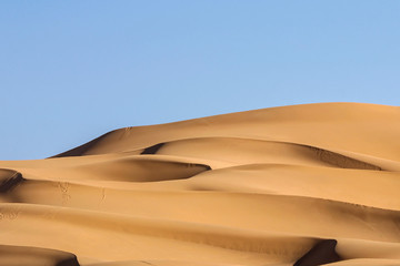 Fototapeta na wymiar landscape of golden sand dune in Sahara desert, Morocco