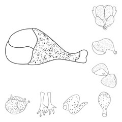 Isolated object of food and grilled icon. Set of food and bird  vector icon for stock.