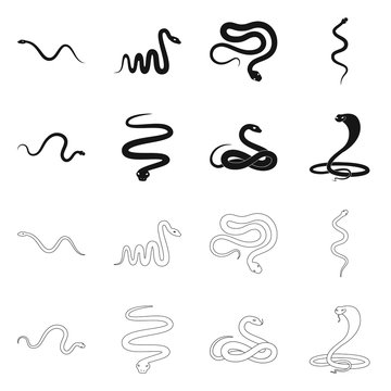 Isolated object of mammal and danger logo. Collection of mammal and medicine vector icon for stock.