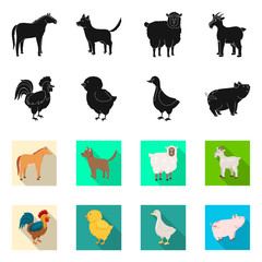 Vector illustration of breeding and kitchen  symbol. Collection of breeding and organic  vector icon for stock.