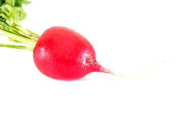 red, ripe radish on a white background