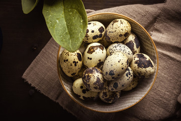Ceramic bowl full of small spotted quail eggs on wooden board