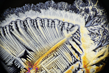 Abstract microscope image