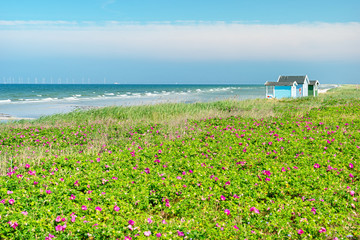 Skanör Strand