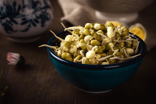 Blue bowl full of mung bean sprouts on dark wooden board
