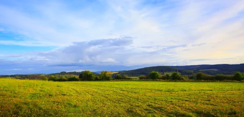 Gardinen Summer landscape with trees and clouds sky . © Swetlana Wall