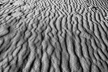 Sand dune wave texture in the desert death valley park
