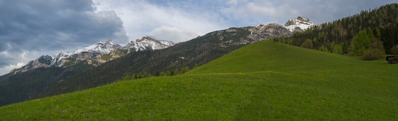 Fototapeta na wymiar Panoramic landscape of green spring meadow with blooming flowers and trees, forest and snow covered mountain peak in Stubai valley, dramatic clouds.Neustift im Stubaital Tyrol, Austrian Alps