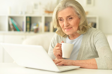 Portrait of senior woman sitting at table with laptop
