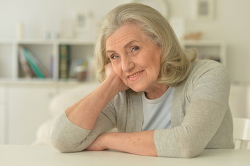 Portrait of cute happy senior woman posing at home