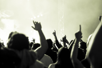 hands to the skies of people dancing and having fun at the live music concert