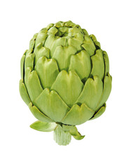 Fototapeta premium Artischocke