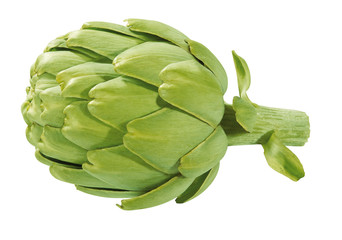 Obraz premium Artischocke