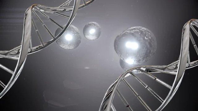Mitosis and DNA