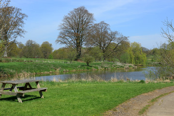Park bench overlooking the lake at Hever