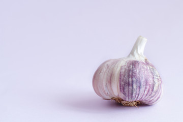 Fresh garlic on a pastel background