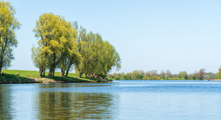 Flussufer vom Wasser aus