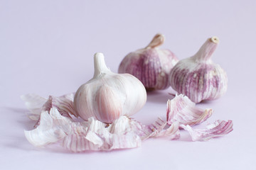 Fresh garlic on a pastel background