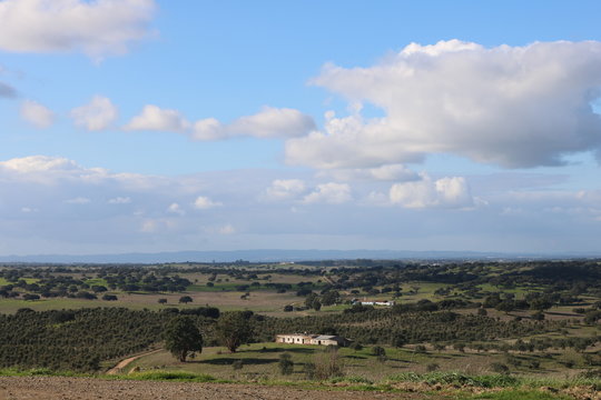 T&iacute;pica plan&iacute;cie  alentejana, Portugal.