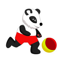 character panda football isolated