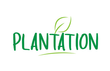 plantation green word text with leaf icon logo design