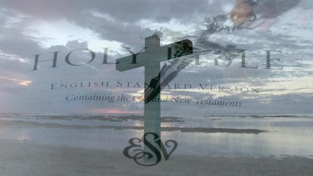 Cross in the shore
