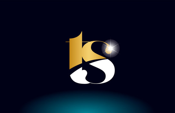 gold golden alphabet letter ts t s logo combination company icon design