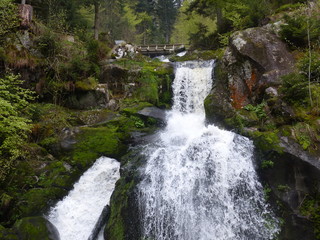 Fototapeta premium cascade triberg