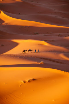 Marocco