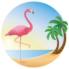 Flamingo zwei Palmen