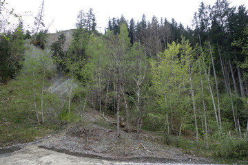 HANGRUTSCHUNG . EROSION