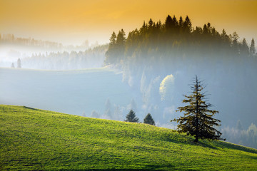 Wiosenne Pieniny U Podnurza Wysokiego Wierchu  © Wojciech Lisiński